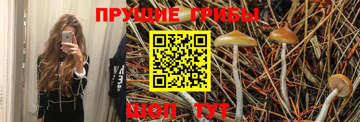 Галлюциногенные грибы MAGIC MUSHROOMS Пенза